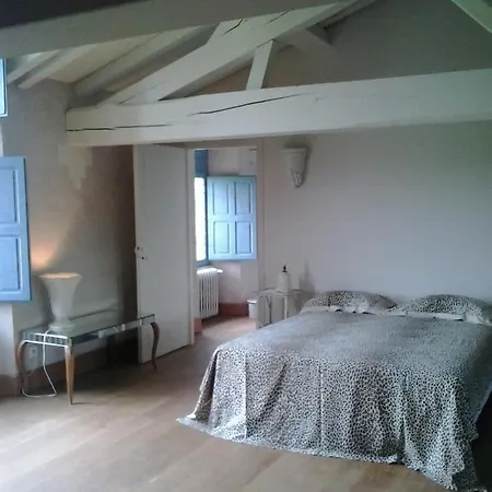 Chateau De Cauderoue Bed & Breakfast
