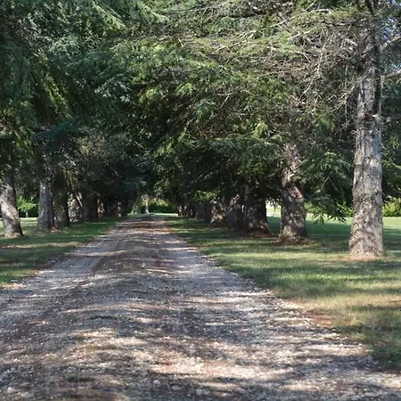 Chateau De Cauderoue Bed & Breakfast 4*