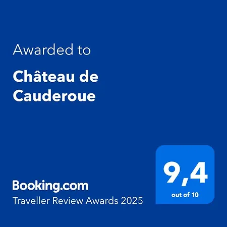 Château De Cauderoue 4* Nérac
