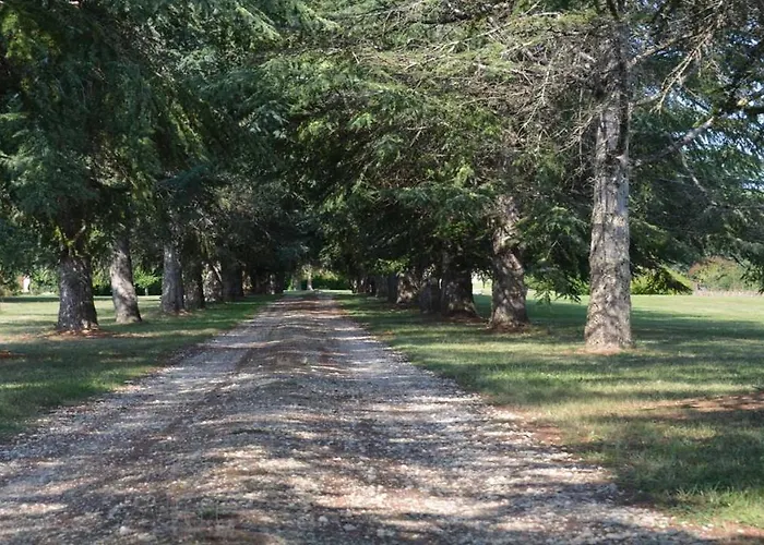 Chateau De Cauderoue فندق مبيت وإفطار 4*